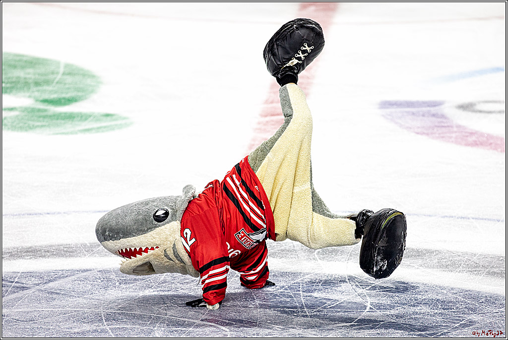 DEL; Koelner Haie - Iserlohn Roosters;; Koeln, 13.09.2019
